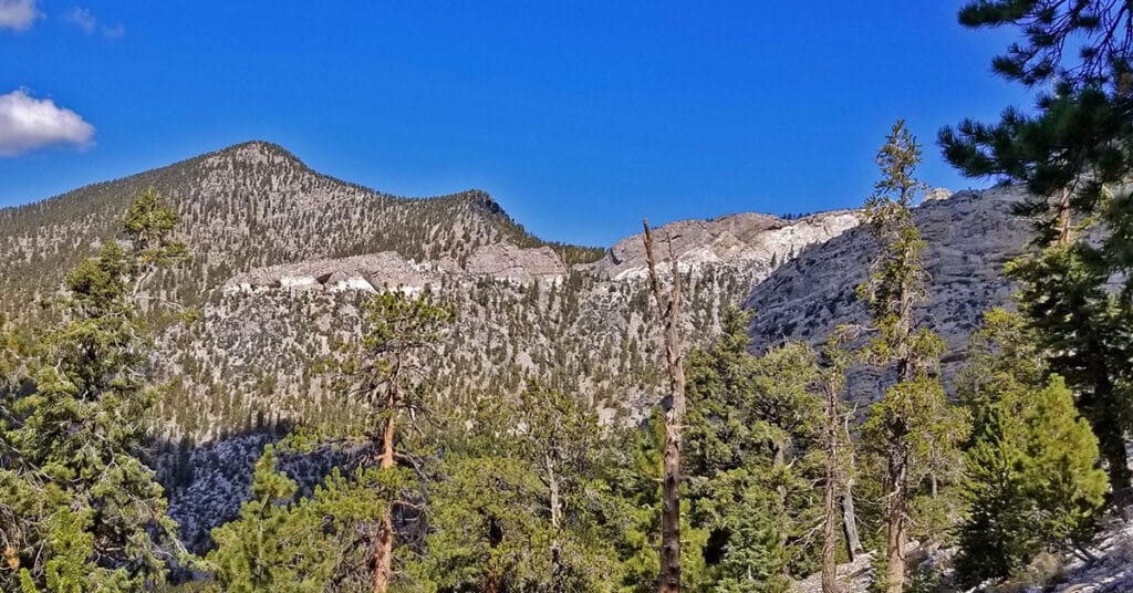 Bonanza Peak | Mt Charleston Wilderness | Spring Mountains, Nevada