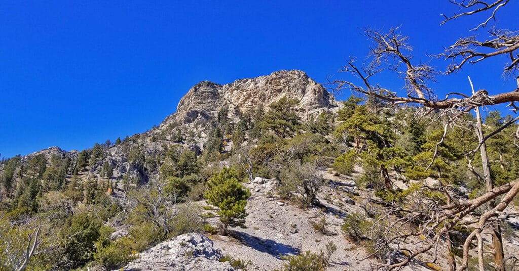 Cockscomb Peak and Ridge | Mt Charleston Wilderness | Spring Mountains, Nevada