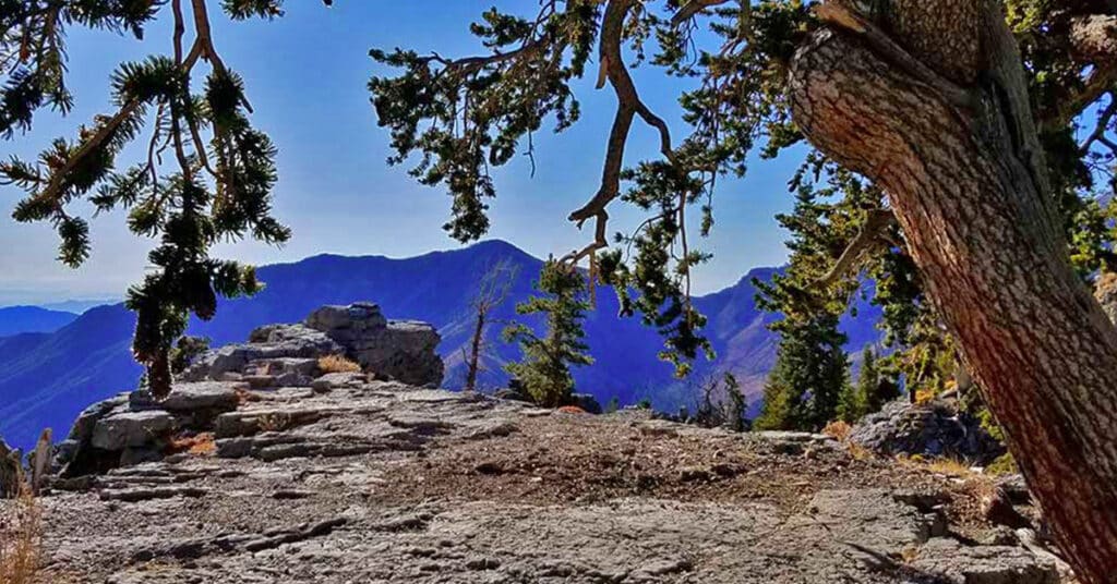 Cockscomb Ridge Wilderness Circuit | Mt Charleston Wilderness | Spring Mountains, Nevada