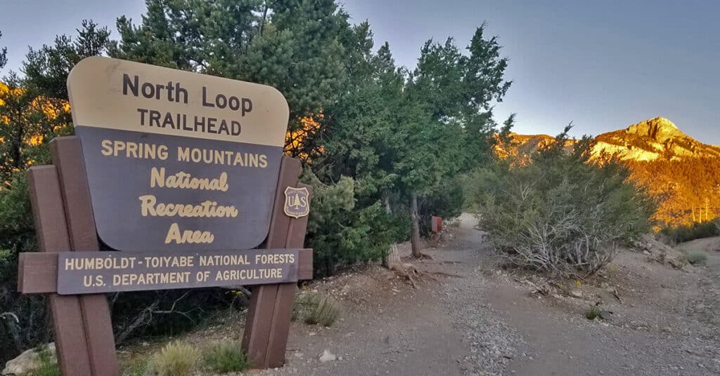 Mt Charleston Wilderness | Deer Creek Road Trails | Wilderness Windows Overview