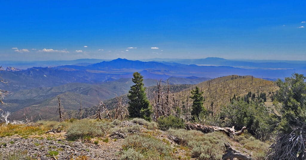 Griffith Peak Southern Approach from Sexton Ridge | Lovell Canyon Trail | La Madre Mountains Wilderness | Spring Mountains, Nevada
