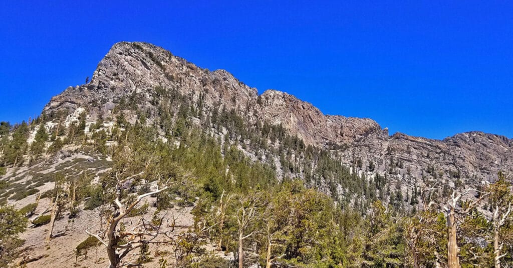 Macks Peak | Mt Charleston Wilderness | Spring Mountains, Nevada