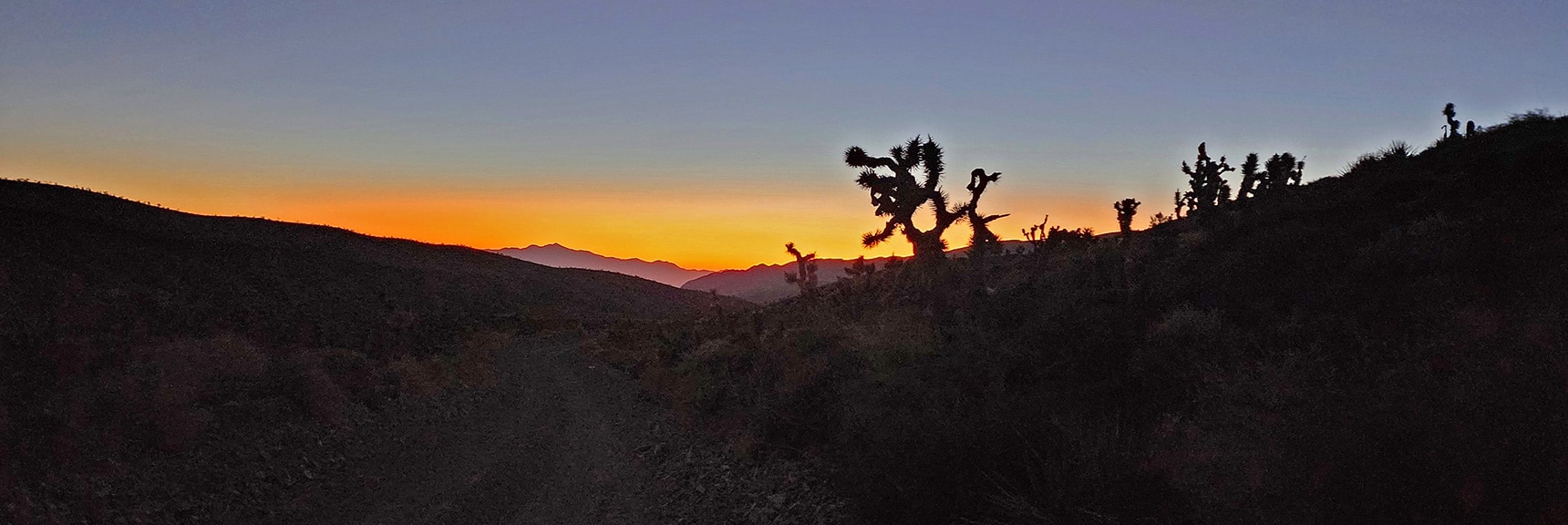 Atmospheric Sunrise Looking Down Harris Springs Rd Toward Gass Peak | Kyle Canyon Grand Crossing | Northern Half | La Madre Mountains Wilderness, Nevada