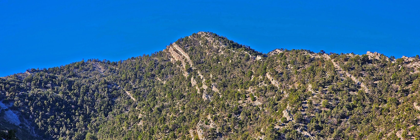 El Bastardo Peak from Lower Burnt Peak Approach Ridge | Kyle Canyon Grand Crossing | Northern Half | La Madre Mountains Wilderness, Nevada