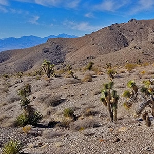 Desert Hydration Needs for Hikers and Trail Runners