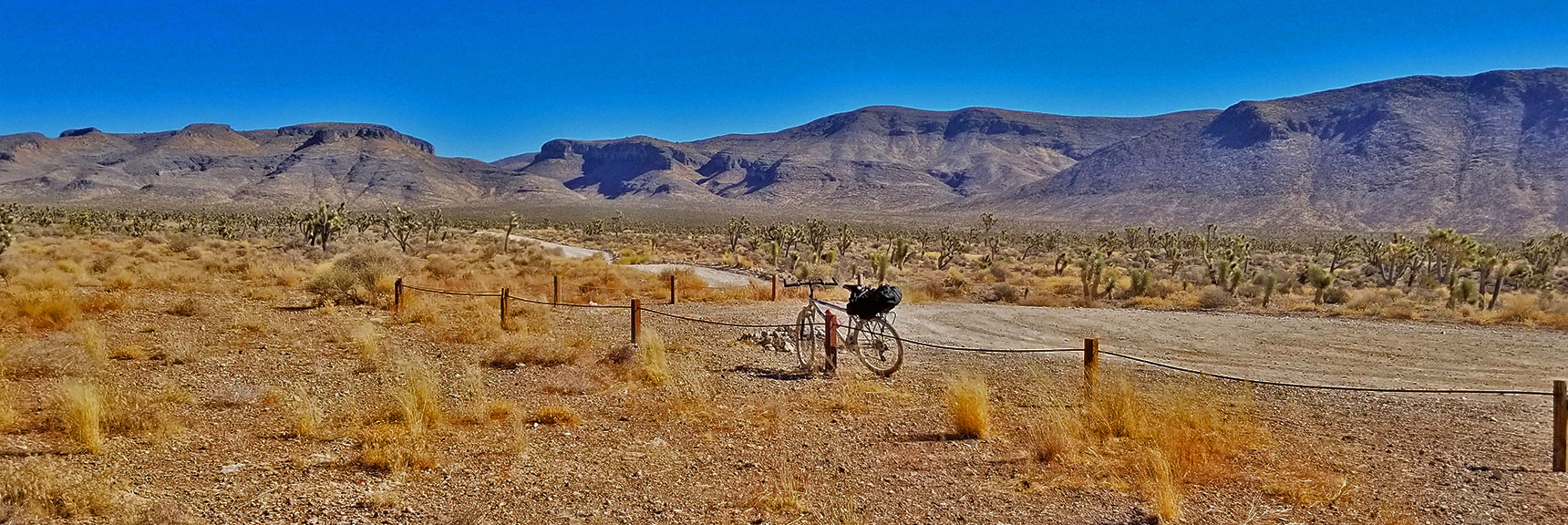 Lower Mormon Well Road | Sheep Range | Desert National Wildlife Refuge, Nevada
