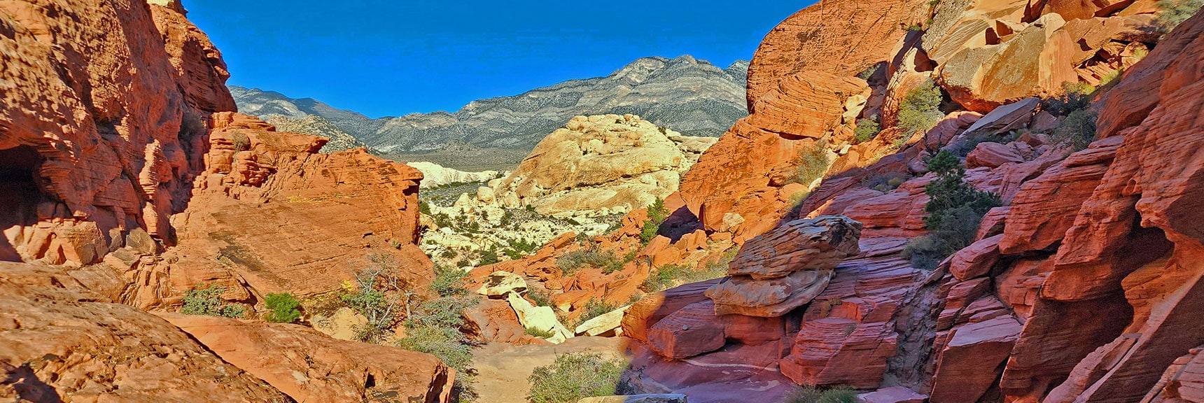 Looking Back Toward the Keystone Thrust Cliffs in the Distance. | Calico Tanks | Red Rock Canyon National Conservation Area, Nevada