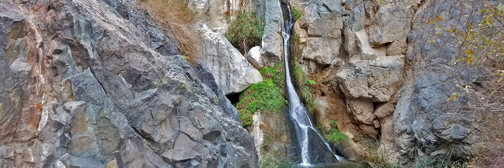 Darwin Falls | Death Valley National Park, California
