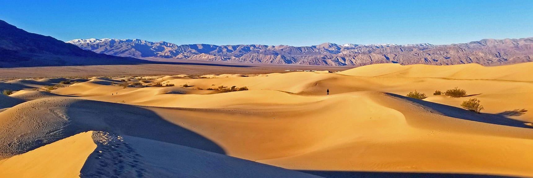 Mesquite Dunes Sunrise | Death Valley National Park, California