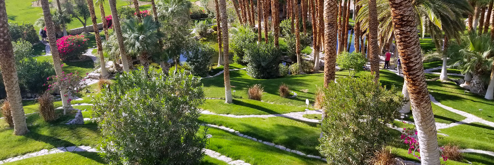 Oasis at Death Valley| Death Valley National Park, California