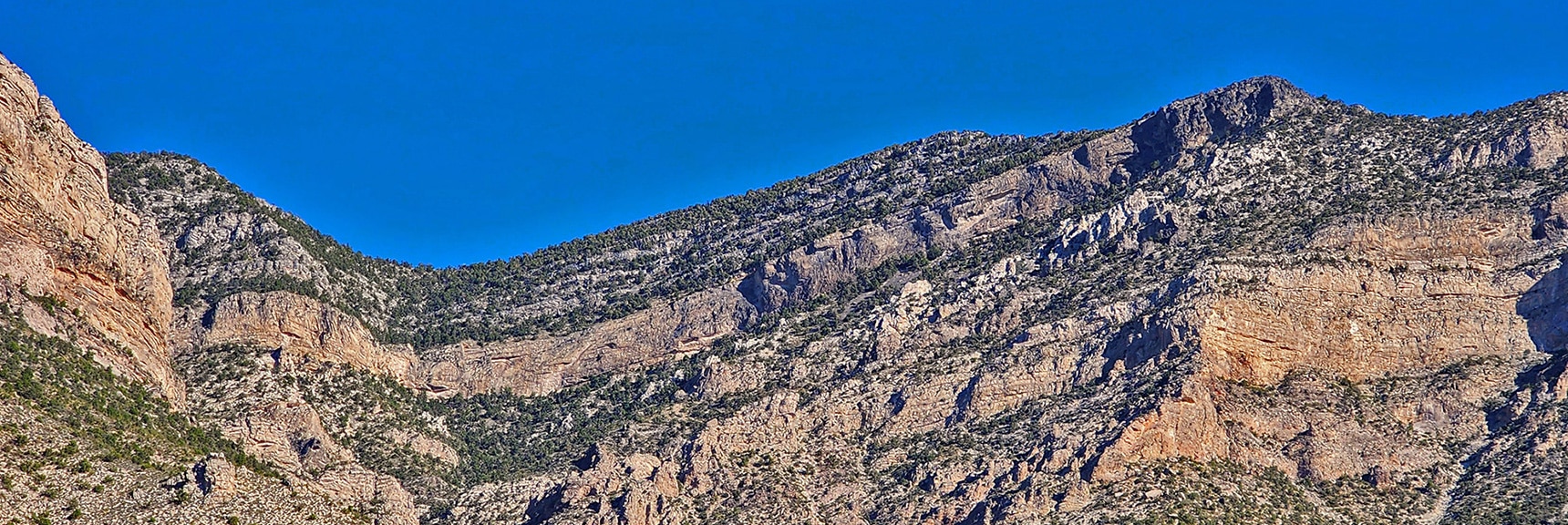 Your Goal is the Saddle Between El Padre (right) and El Bastardo (left), Visible on the Entire Route | Kyle Canyon Grand Crossing | Southern Half | Red Rock Canyon National Conservation Area, Nevada