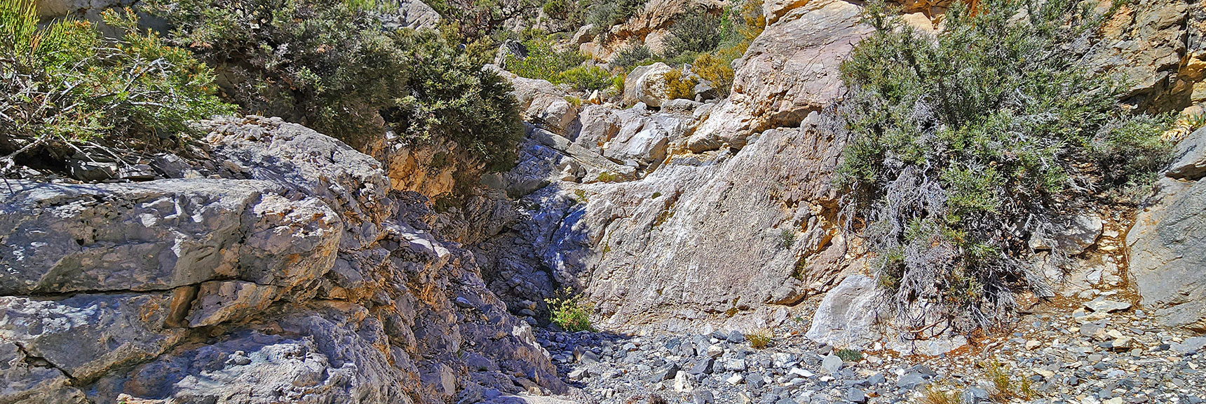 Both Splits of Main Wash End in Barriers. Here's the Left Split Barrier. | Kyle Canyon Grand Crossing | Southern Half | Red Rock Canyon National Conservation Area, Nevada
