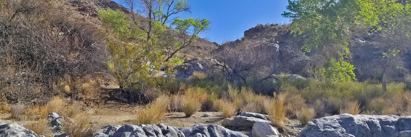 Horse Thief Canyon Loop |Lake Mead National Recreation Area, Nevada