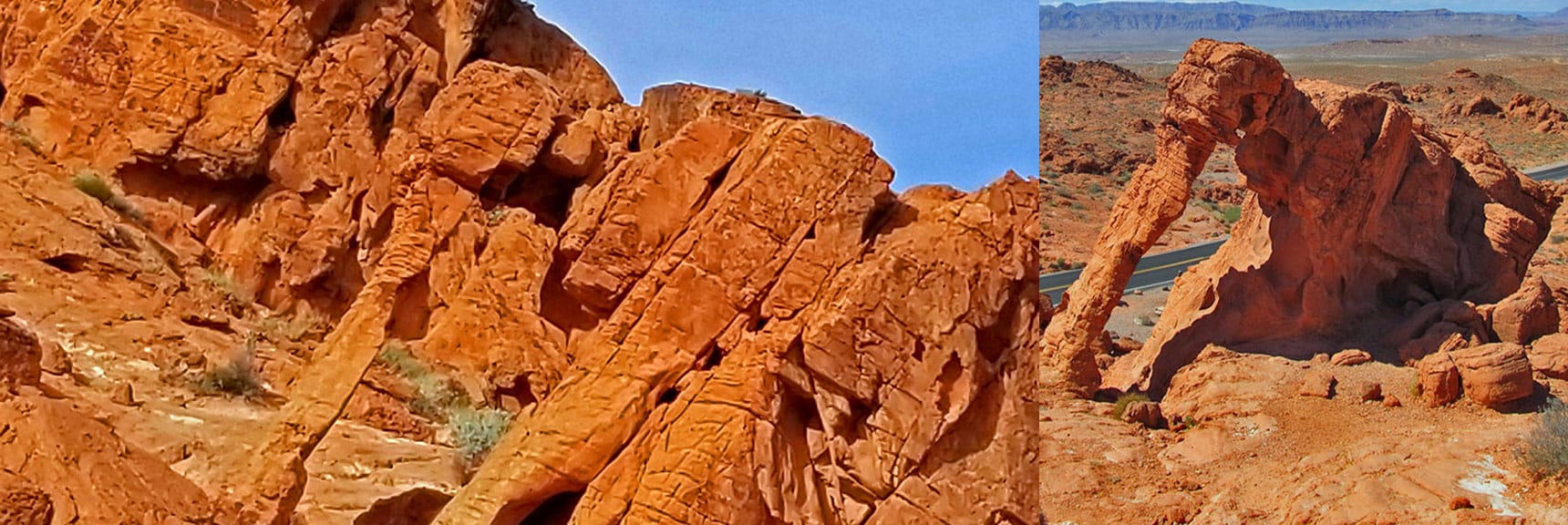 Elephant Rock | Valley of Fire State Park, Nevada