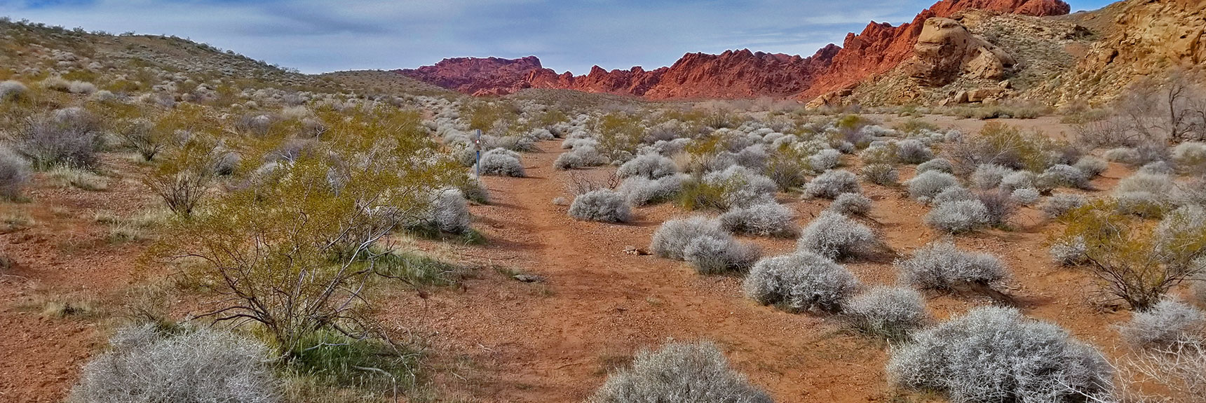 Old Arrowhead Trail | Valley of Fire State Park, Nevada