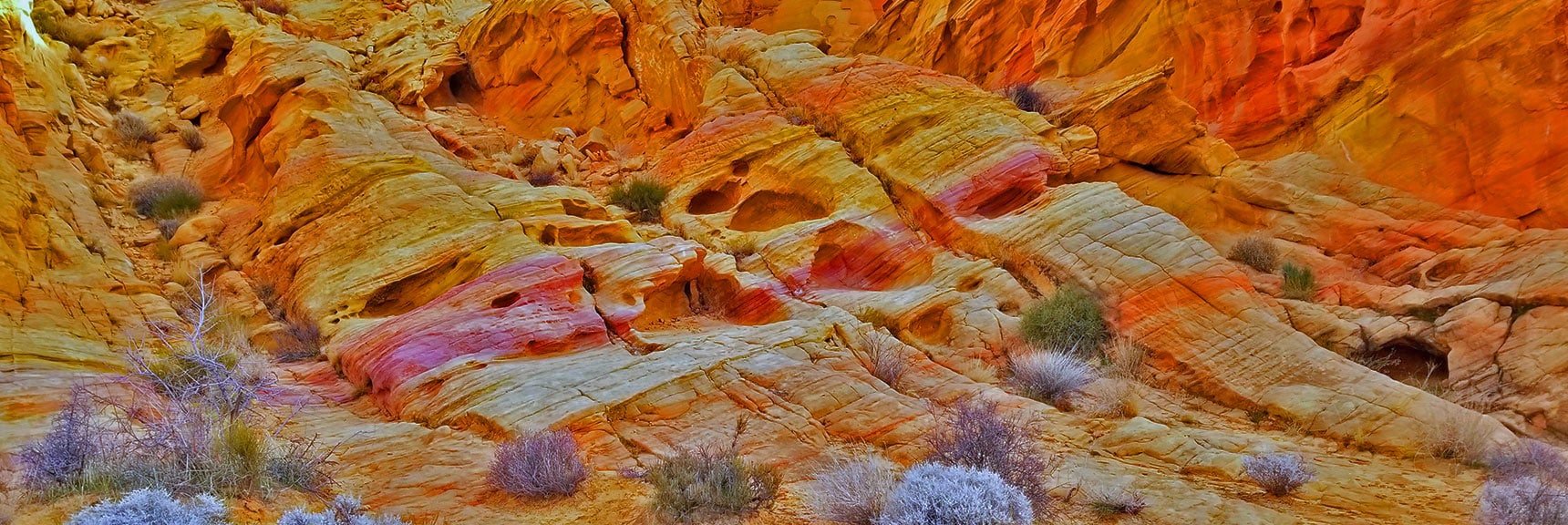 Rainbow Vista Trail | Valley of Fire State Park, Nevada