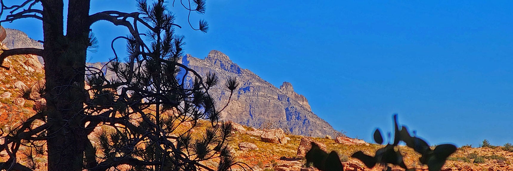 View Across Red Rock and Calico Canyons to Damsel Peak. | Rock Climber Observations | Pine Creek Canyon | Rainbow Mountain Wilderness, Nevada
