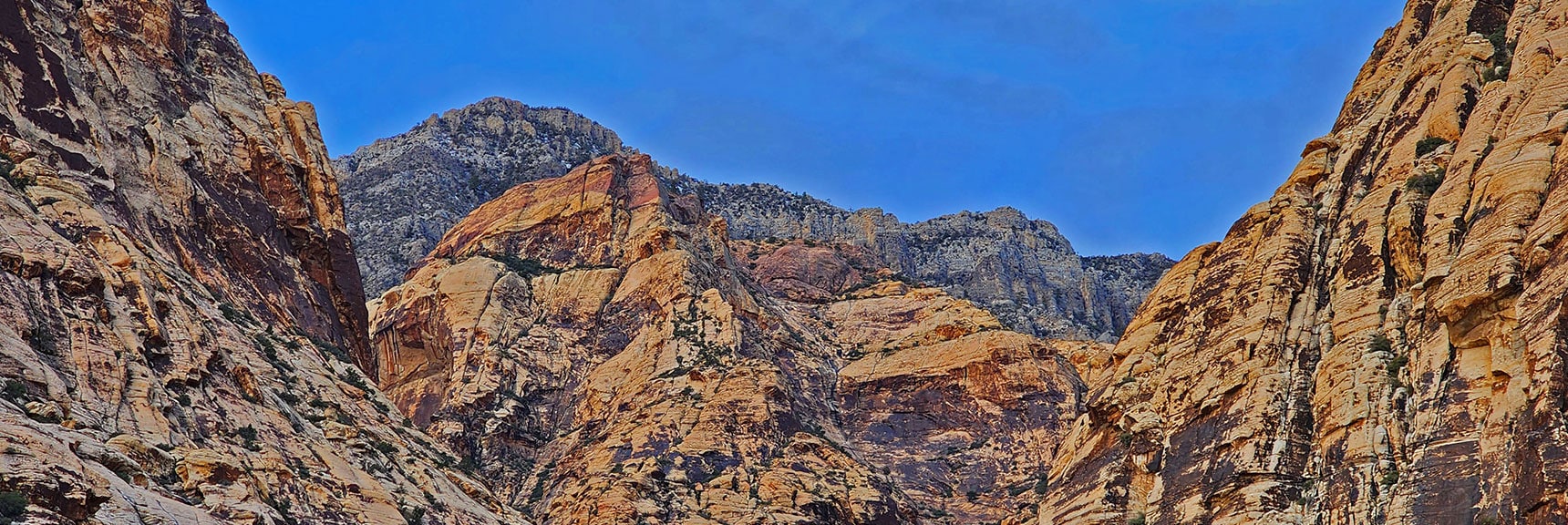 First Creek Overlook Cliffs Tower Above the Upper End of the Canyon | Oak Creek Canyon North Branch Toward Rainbow Mountains Upper Crest Ridgeline | Rainbow Mountain Wilderness, Nevada