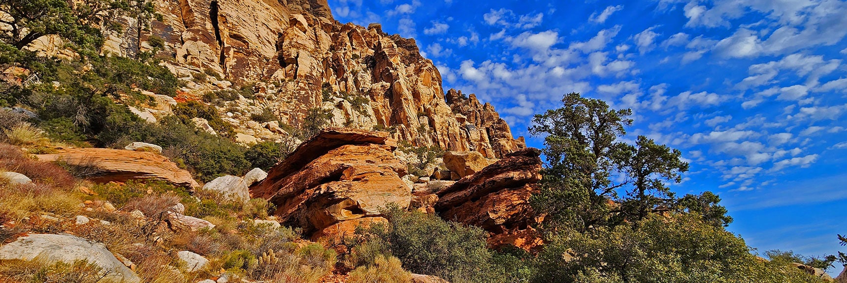 This Could Be a Painting. View Along Rainbow Mountain Toward Canyon Entrance | Oak Creek Canyon North Branch Toward Rainbow Mountains Upper Crest Ridgeline | Rainbow Mountain Wilderness, Nevada