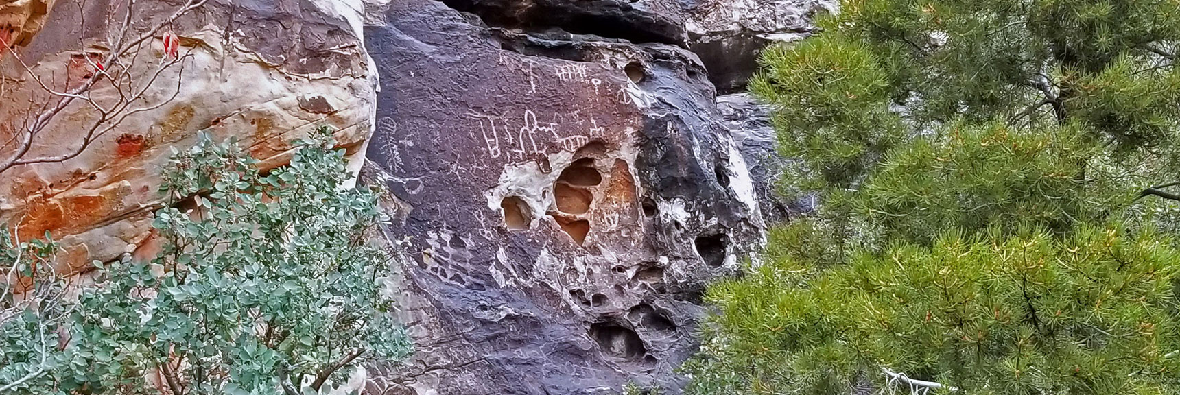 Petroglyph Wall | Willow Spring Loop, Petroglyph Canyon, Lost Creek Canyon | Red Rock Canyon National Conservation Area, Nevada