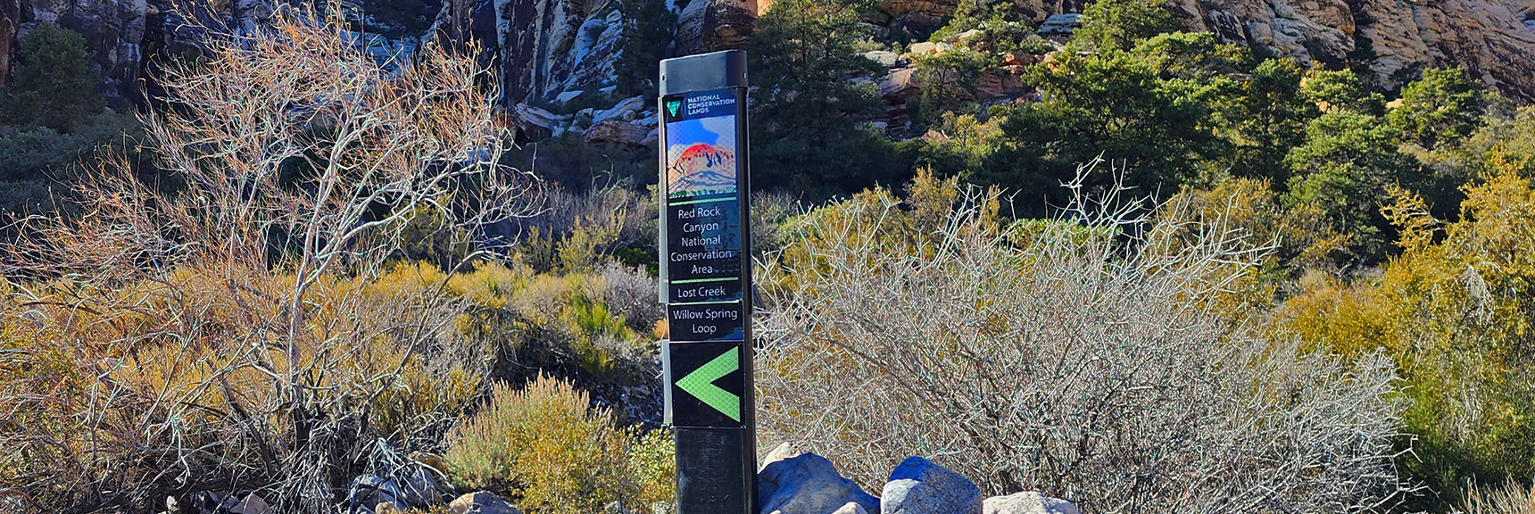 Beginning the Lost Creek Trail | Willow Spring Loop, Petroglyph Canyon, Lost Creek Canyon | Red Rock Canyon National Conservation Area, Nevada