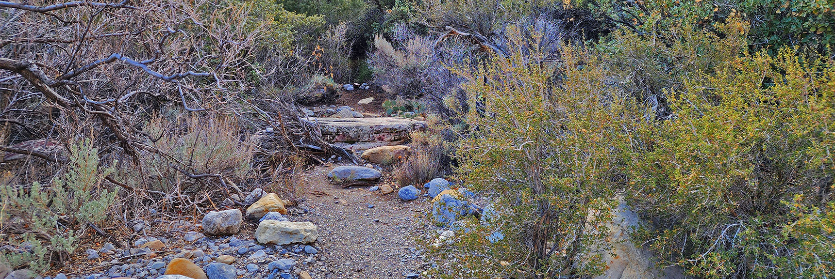 Attractive Stone Stairways Make the Going Easy | Willow Spring Loop, Petroglyph Canyon, Lost Creek Canyon | Red Rock Canyon National Conservation Area, Nevada