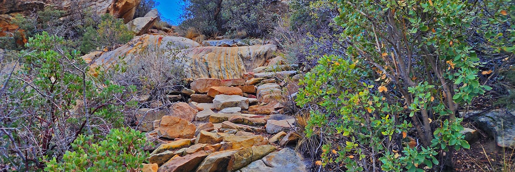 Ascending Along the Base of the Rainbow Mountains | Willow Spring Loop, Petroglyph Canyon, Lost Creek Canyon | Red Rock Canyon National Conservation Area, Nevada