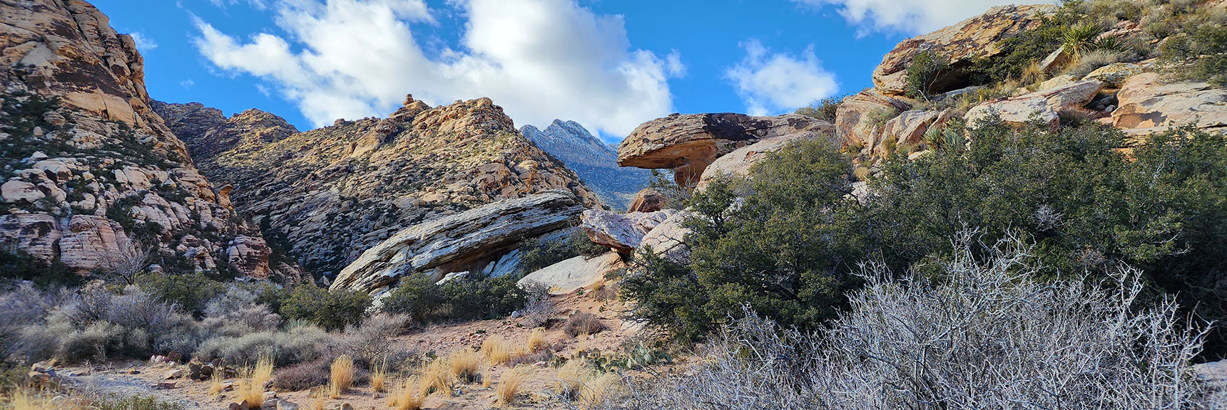 Now Circling the Loop East of Rocky Gap Road | Willow Spring Loop, Petroglyph Canyon, Lost Creek Canyon | Red Rock Canyon National Conservation Area, Nevada