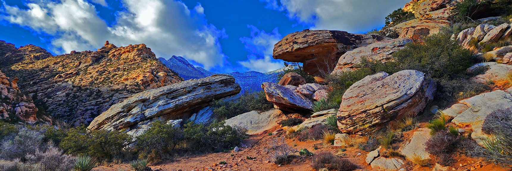 Natural Art Like This Has a Rare Beauty | Willow Spring Loop, Petroglyph Canyon, Lost Creek Canyon | Red Rock Canyon National Conservation Area, Nevada