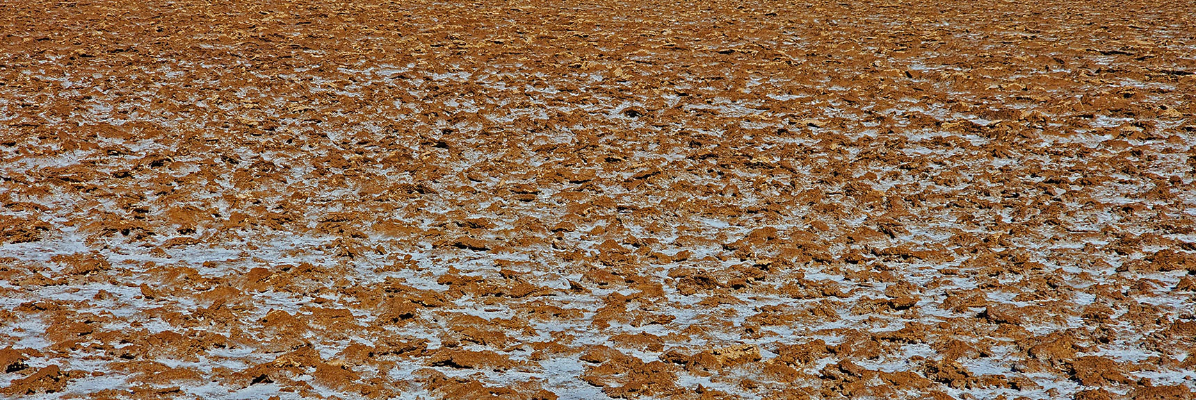 Early On, The Darker Soil is Firmer and More Stable, Yet the Edges Are Sharp | Death Valley Crossing | Death Valley National Park, California | David Smith | LasVegasAreaTrails.com