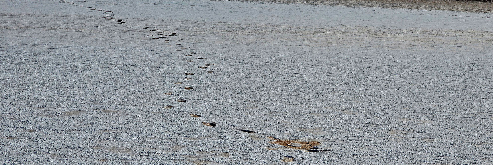 Salts Covering Salt Flats Are Thin Layer. Mud Beneath Sinks 2-3 Inches with Each Step | Death Valley Crossing | Death Valley National Park, California | David Smith | LasVegasAreaTrails.com