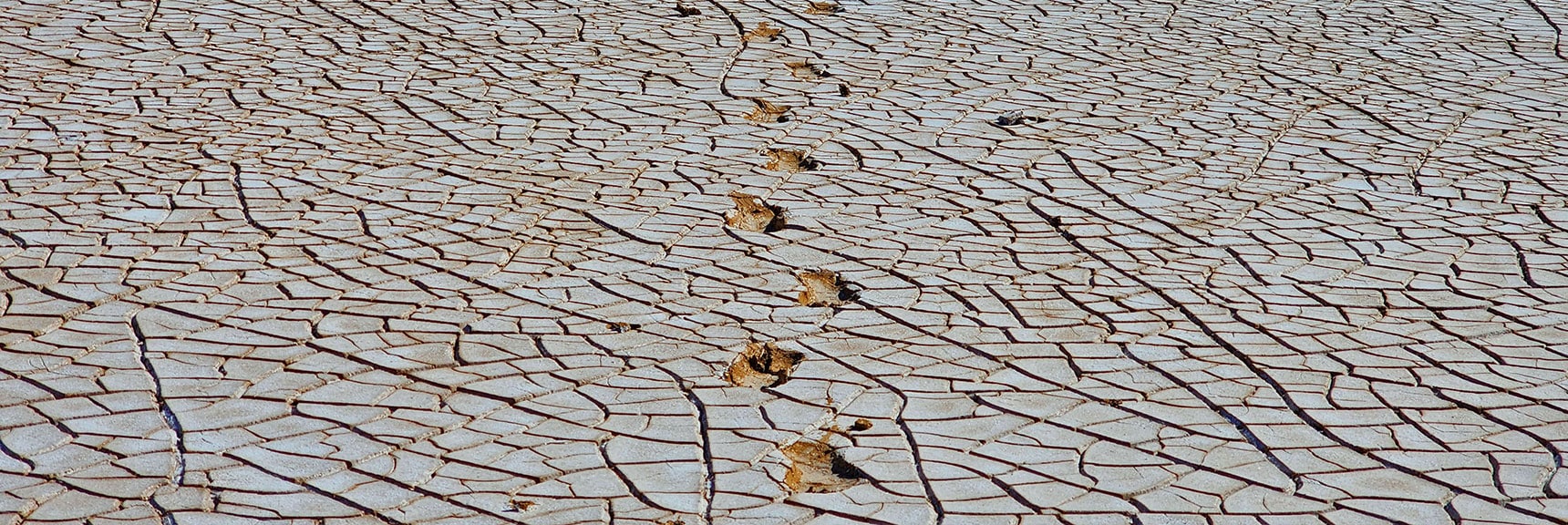 More Cool Geometric Shapes as Soil and Salts Dry Following Yesterday's Rain | Death Valley Crossing | Death Valley National Park, California | David Smith | LasVegasAreaTrails.com