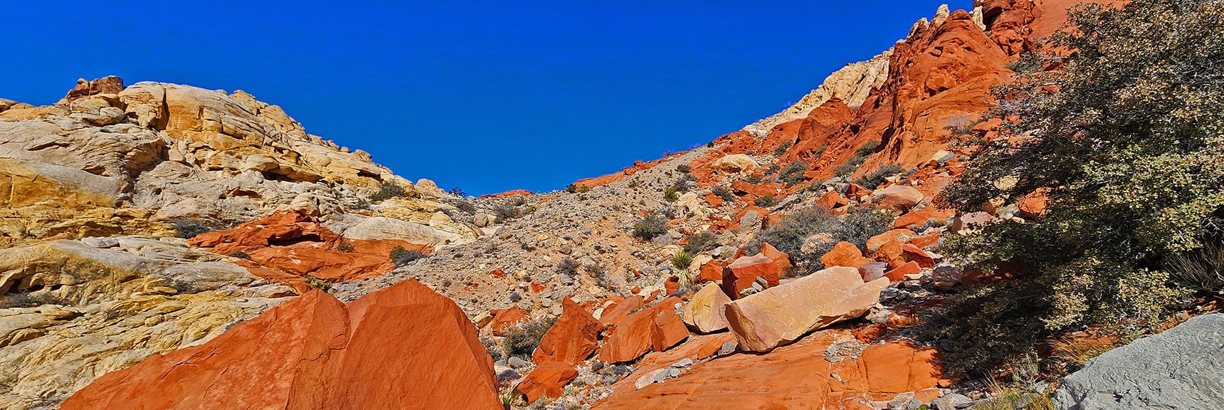 Ascending Toward the Summit of Ash Canyon | Ash Canyon to Calico Tanks | Calico Basin and Red Rock Canyon, Nevada | David Smith | Las Vegas Area Trails