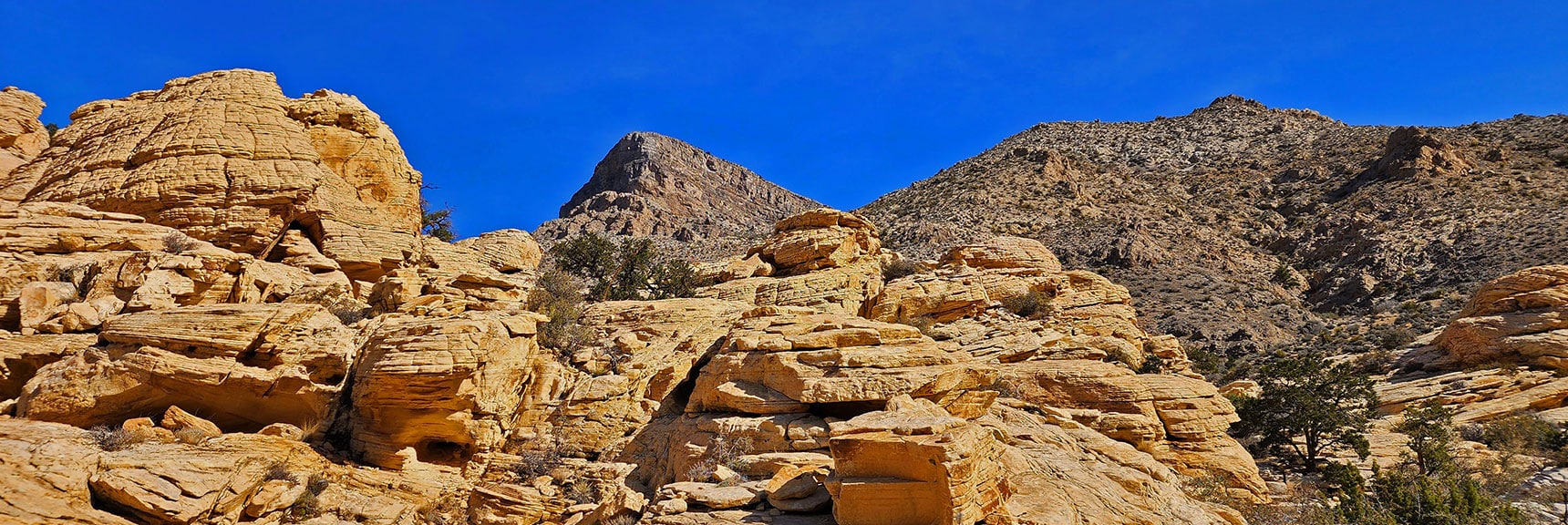 On the Return Trip You Will Navigate Far to the Right of Turtlehead Peak. | Ash Canyon to Calico Tanks | Calico Basin and Red Rock Canyon, Nevada | David Smith | Las Vegas Area Trails