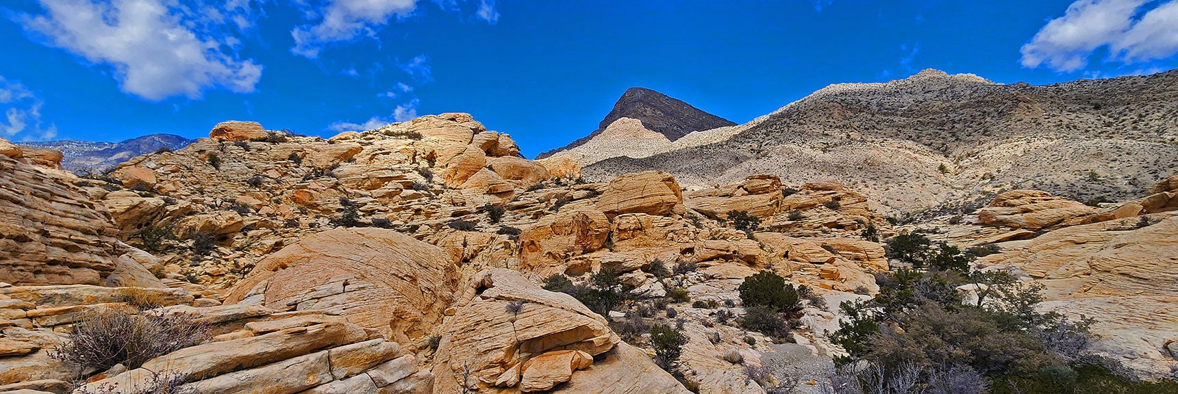 Tip of Turtlehead Peak Behind While Ascending the Rattlesnake Trail. | Ash Canyon to Calico Tanks | Calico Basin and Red Rock Canyon, Nevada | David Smith | Las Vegas Area Trails