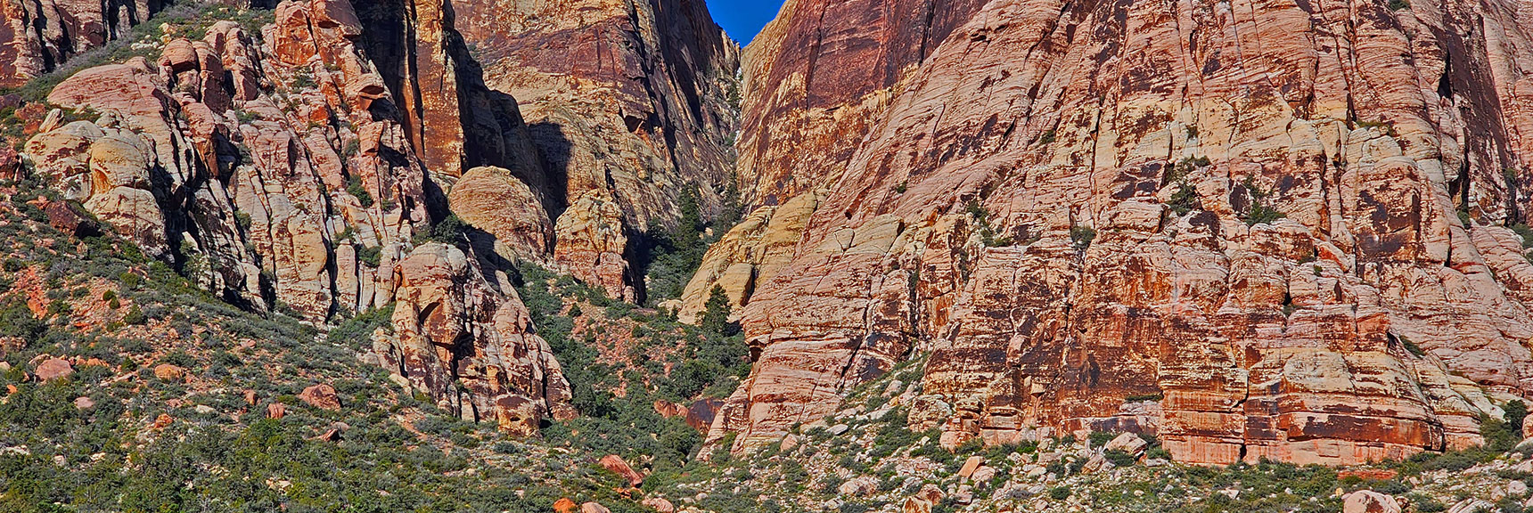 Juniper Canyon Ahead: Summit Approach Route for Juniper Peak | Arnight Trail | Red Rock Canyon, Nevada | David Smith | LasVegasAreaTrails.com