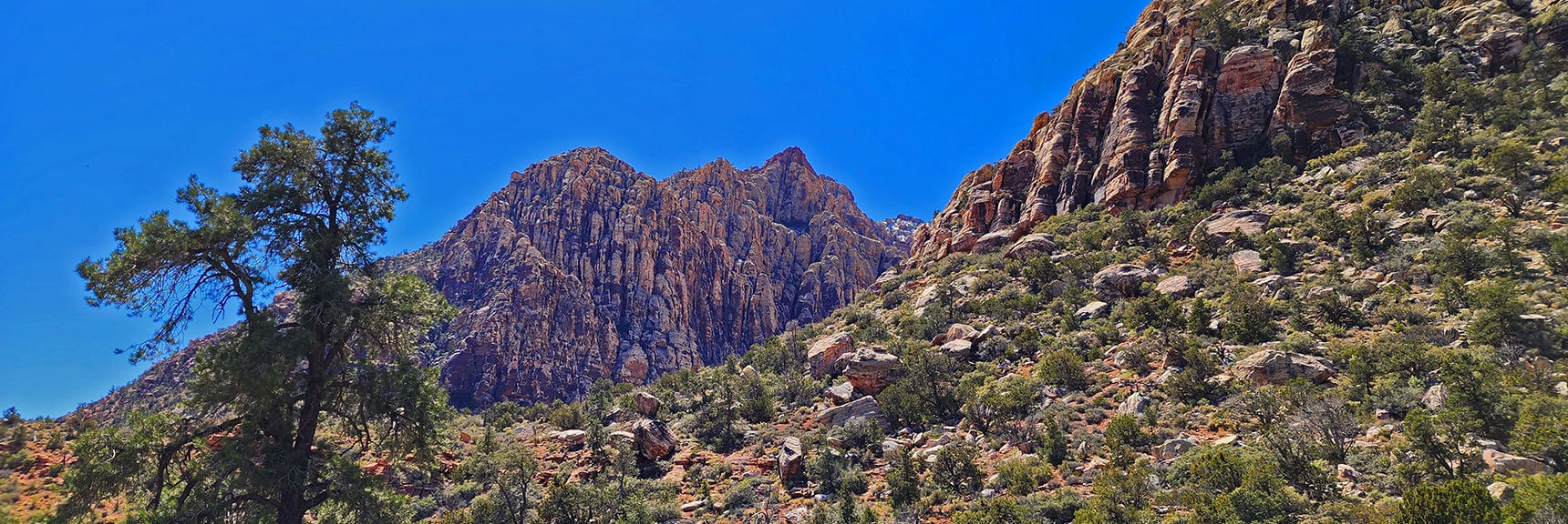 View Back Toward Ice Box Canyon Opening South Cliffs, Bridge Mt Foothills | SMYC Trail | Red Rock Canyon National Conservation Area, Nevada | David Smith | LasVegasAreaTrails.com