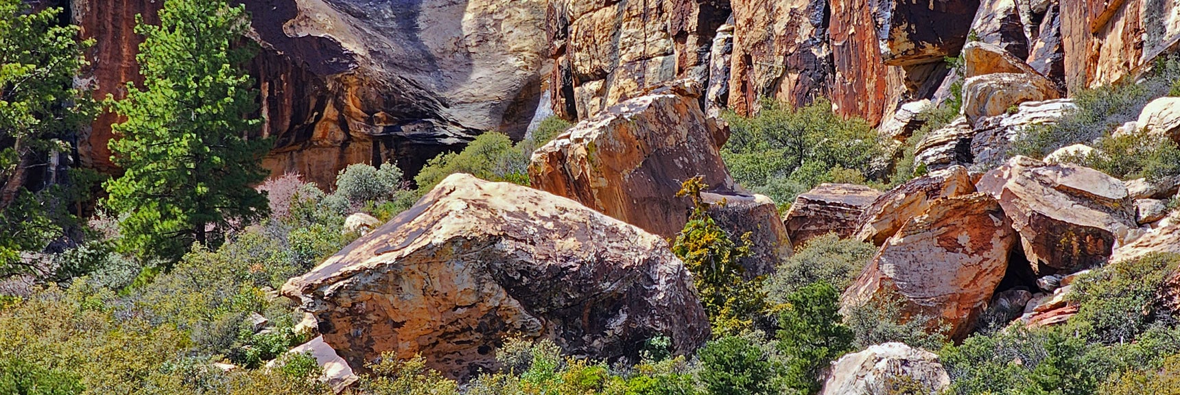Flat Rock with Dark Iron Oxide Film Was Prime Drawing Surface for Petroglyph Creators | SMYC Trail | Red Rock Canyon National Conservation Area, Nevada | David Smith | LasVegasAreaTrails.com