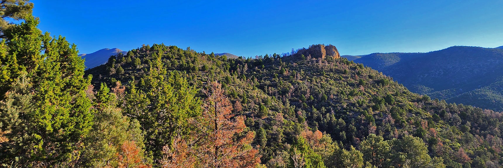 Handy Peak Loop | Lovell Canyon, Nevada