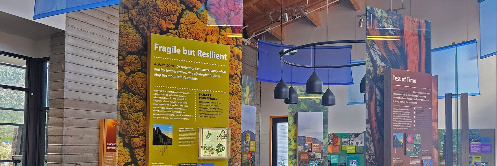 Over 15 Beautiful and Informative Interpretive Displays In the Visitor Gateway | Spring Mountains Visitor Gateway | Mt. Charleston Wilderness | Spring Mountains, Nevada