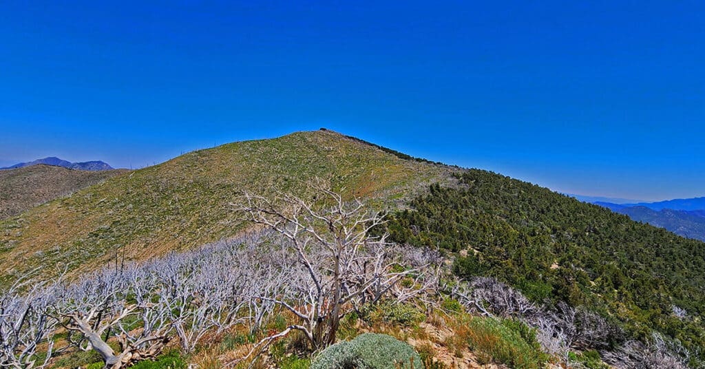 Wilson Ridge Lovell Canyon Loop | Lovell Canyon, Nevada