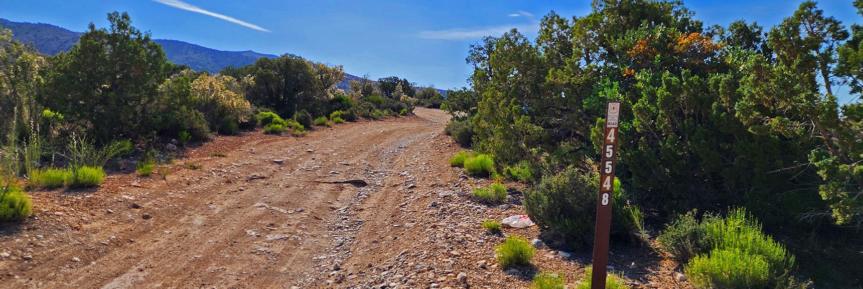 Rd 548 Toward South Ridge of South Spring Canyon Not for Today. | Juniper Peak to Mt. Wilson | Rainbow Mountains Upper Crest Ridgeline, Nevada