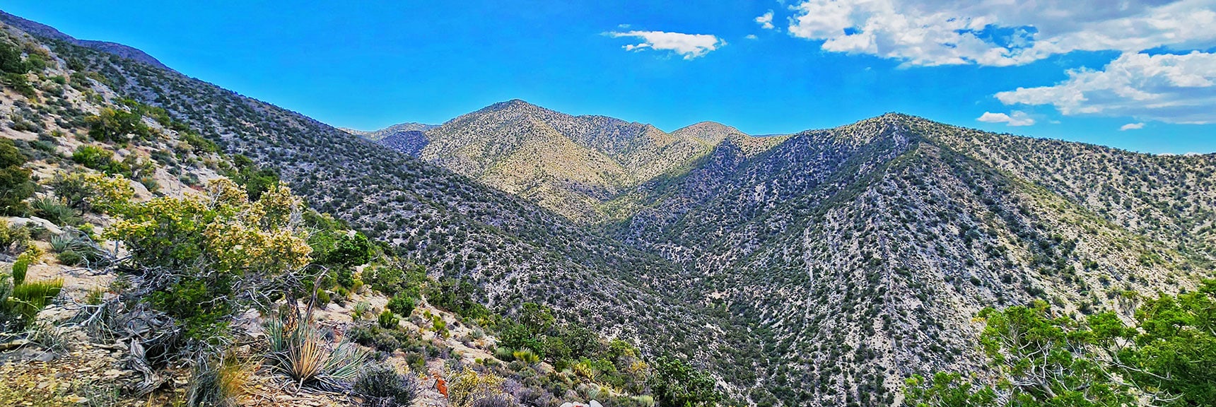 View East Up South Spring Canyon Toward Rainbow Mts. Upper Crest Ridgeline | Juniper Peak to Mt. Wilson | Rainbow Mountains Upper Crest Ridgeline, Nevada
