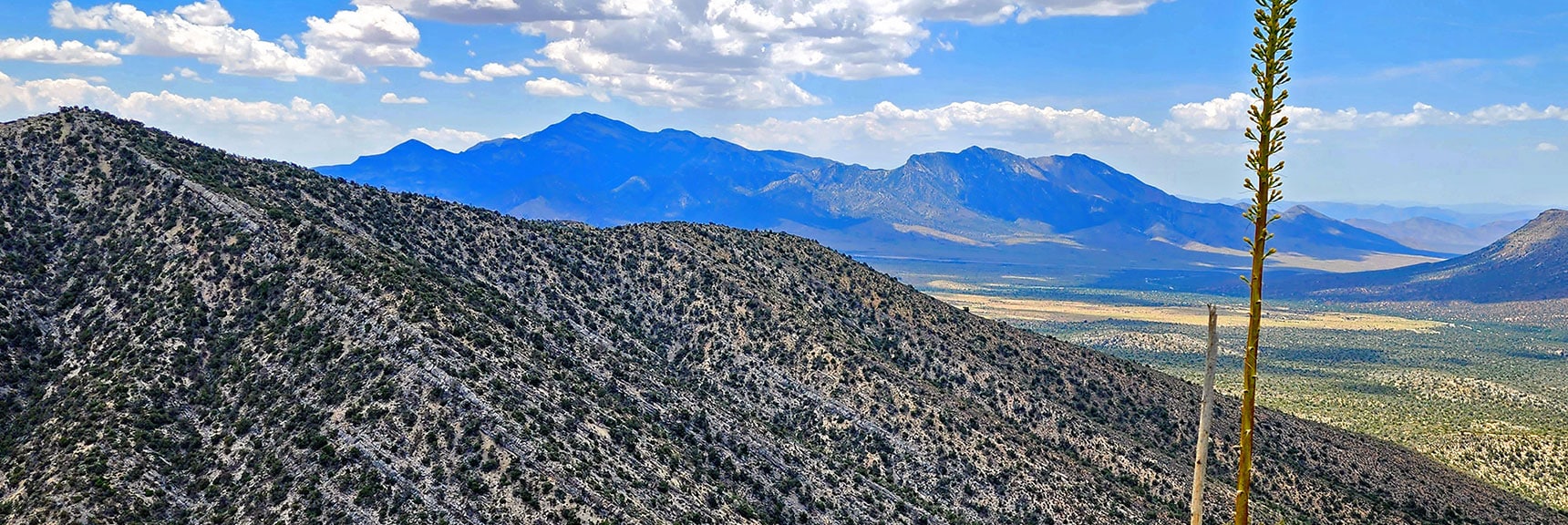 Ridge South of South Spring Canyon is Next Promising Ascent Ridge | Juniper Peak to Mt. Wilson | Rainbow Mountains Upper Crest Ridgeline, Nevada