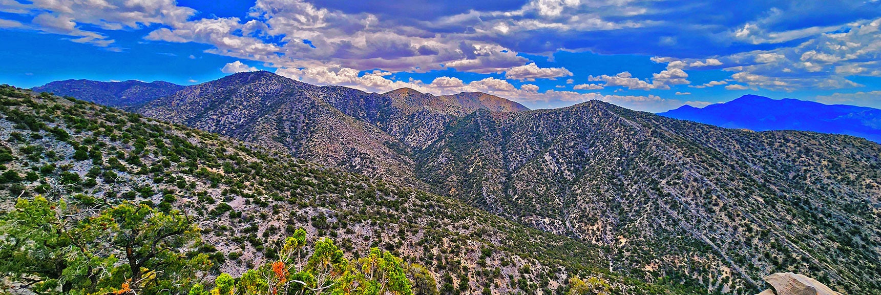 View East Toward Rainbow Mts. Upper Portion of South Ridge and Upper Ridgeline Beyond. | Juniper Peak to Mt. Wilson | Rainbow Mountains Upper Crest Ridgeline, Nevada