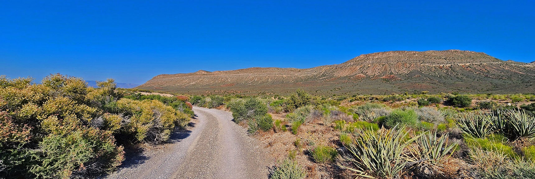 View Back Down Rainbow Spring Rd. to Landmark Bluff | Little Zion | Rainbow Mountain Wilderness, Nevada