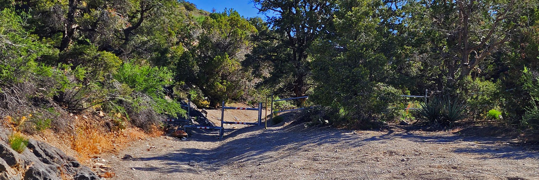 Little Zion Trailhead at Upper End of Rainbow Springs Rd. No Trail Signs | Little Zion | Rainbow Mountain Wilderness, Nevada