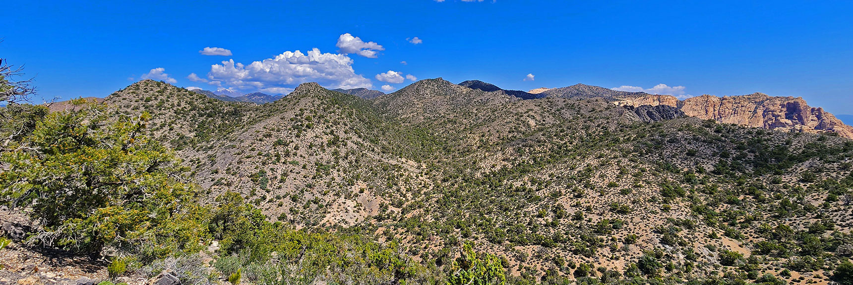 North View While Rounding North Side of Wolverine Ridge. Indecision Peak on Right | Little Zion | Rainbow Mountain Wilderness, Nevada