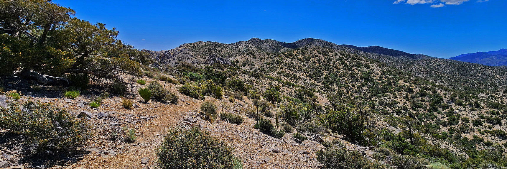 Heading South on Upper Crest Ridgeline Toward Little Zion Trail Connection | Little Zion | Rainbow Mountain Wilderness, Nevada