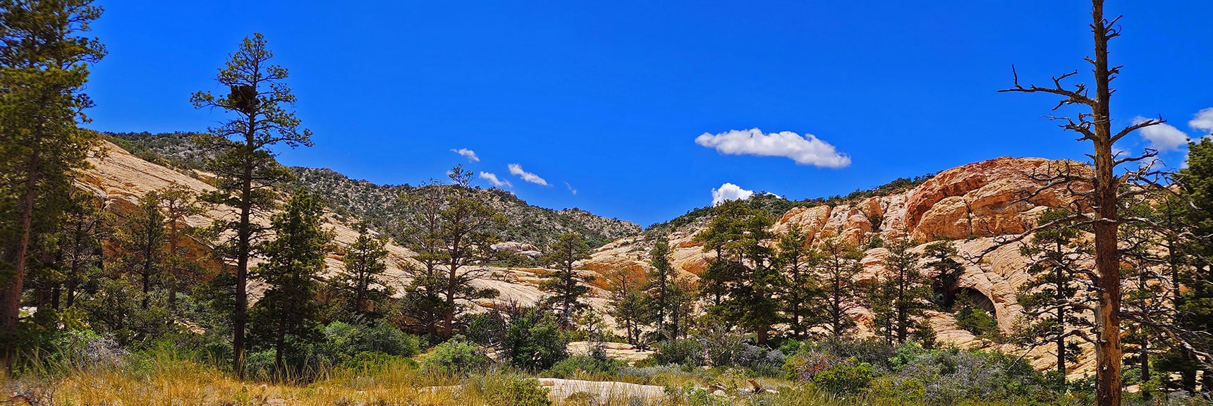 View Back Up Little Zion to Ridgeline from Lower Western Point. Note Arch (Left) | Little Zion | Rainbow Mountain Wilderness, Nevada